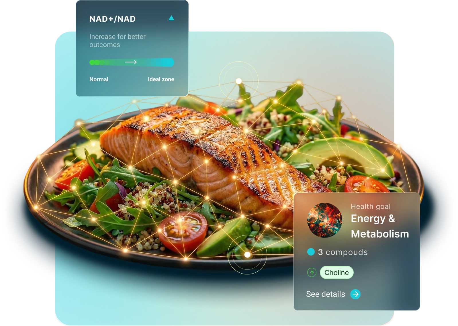 Understand how food interact with your biology
